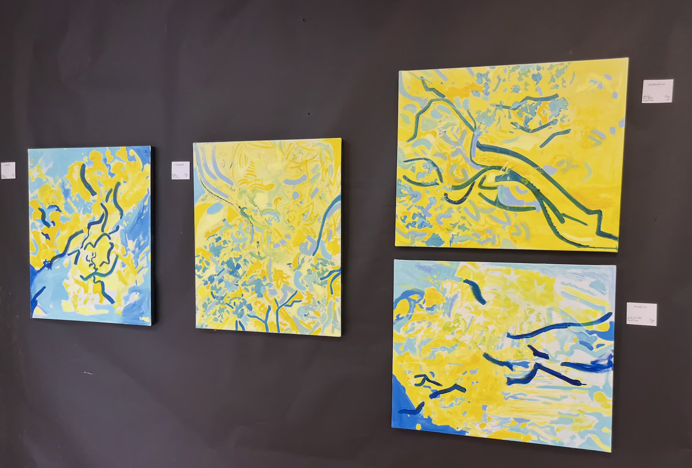 Croisement, exhibition by CYB at Parigi — photo 6