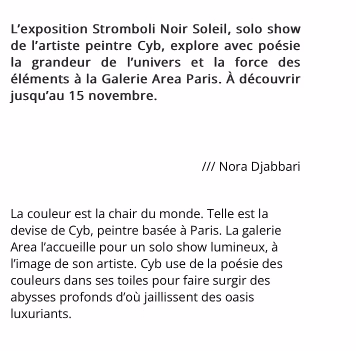 Press article about CYB, contemporary painter - 14