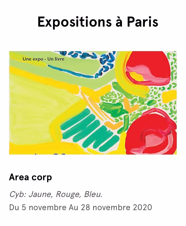 Press article about CYB, contemporary painter - 27